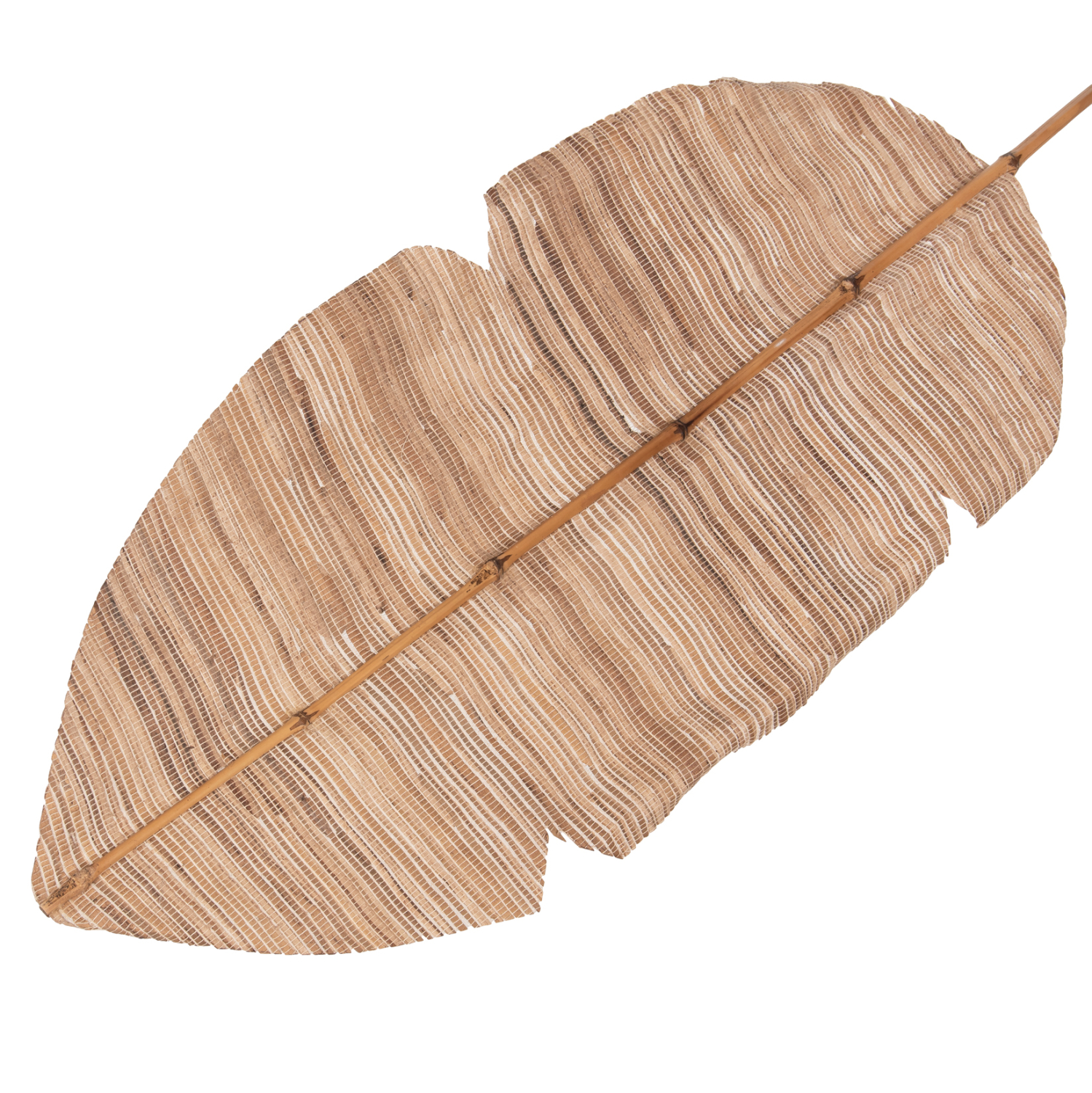 ΔΙΑΚΟΣΜΗΤΙΚΟ ΦΤΕΡΟ HM7873 ΥΔΡΟΥΑΚΙΝΘΟΣ ΣΕ ΦΥΣΙΚΗ ΑΠΟΧΡΩΣΗ 32x200x3 εκ. - Image 3