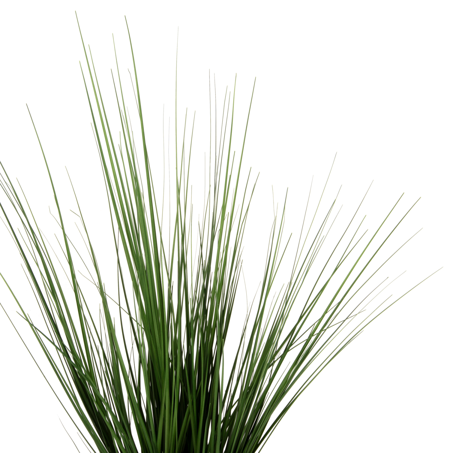 ΔΙΑΚΟΣΜΗΤΙΚΟ ΣΥΝΘΕΤΙΚΟ ΦΥΤΟ HM4013 GRASS ΣΕ ΓΛΑΣΤΡΑ Φ11,5x11,5-90Υεκ. - Image 3