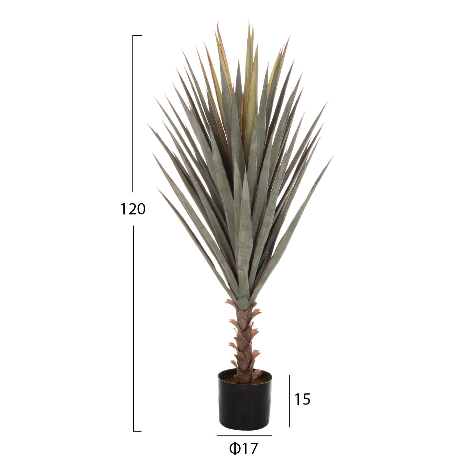 ΔΙΑΚΟΣΜΗΤΙΚΟ ΣΥΝΘΕΤΙΚΟ ΦΥΤΟ HM7987 SISAL AGAVE ΣΕ ΓΛΑΣΤΡΑ 120Υεκ. - Image 2