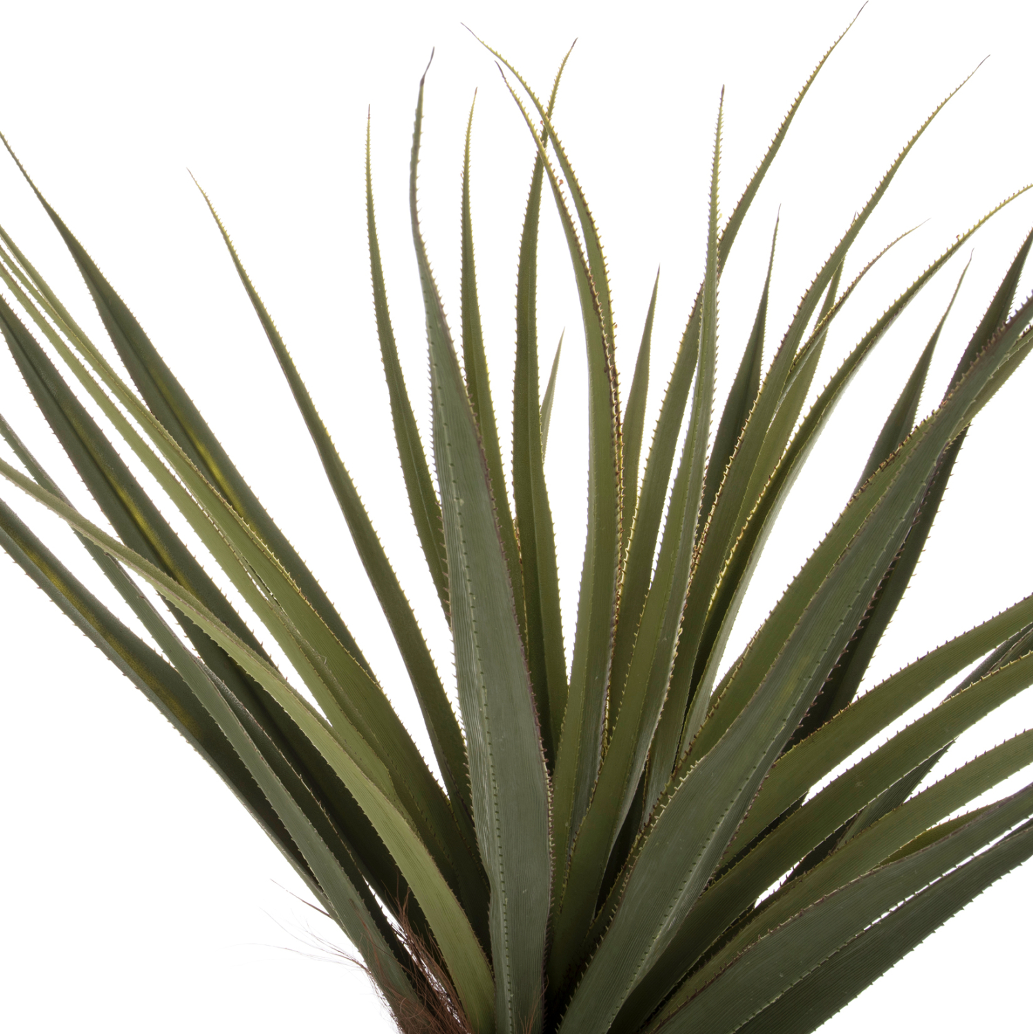 ΔΙΑΚΟΣΜΗΤΙΚΟ ΣΥΝΘΕΤΙΚΟ ΦΥΤΟ HM7988 ΔΕΝΤΡΟ SISAL ΣΕ ΓΛΑΣΤΡΑ Φ23x18-180Υεκ. - Image 3