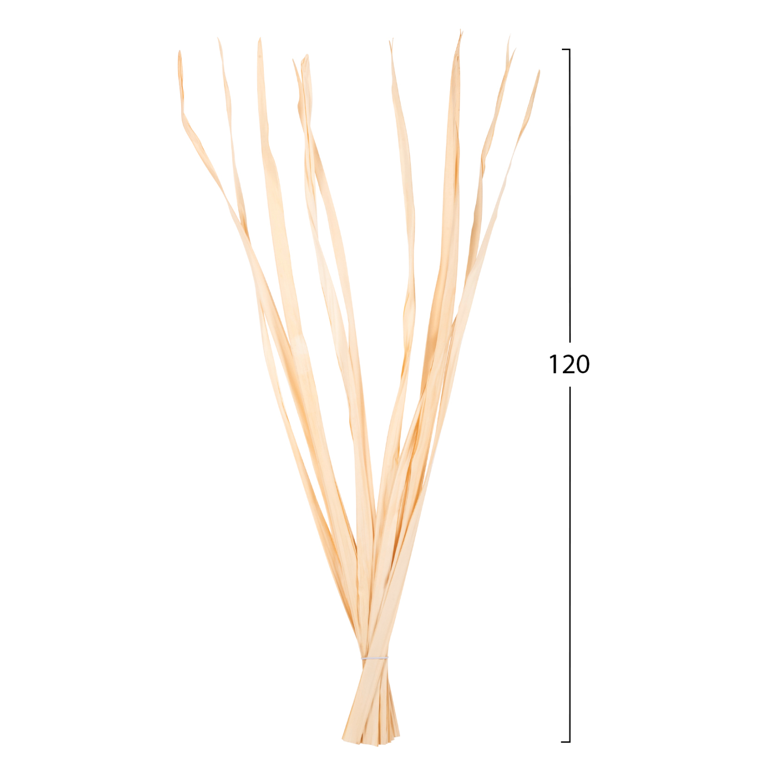 ΔΙΑΚΟΣΜΗΤΙΚΟ ΜΠΟΥΚΕΤΟ 10ΤΜΧ ΑΠΟΞΗΡΑΜΕΝΩΝ ΜΑΚΡΥΦΥΛΛΩΝ HM7964 ΦΥΣΙΚΟ 120Υεκ - Image 2