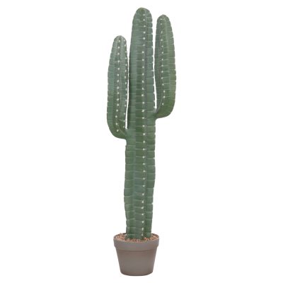 ΔΙΑΚΟΣΜΗΤΙΚΟ ΣΥΝΘΕΤΙΚΟ ΦΥΤΟ HM4742 ΚΑΚΤΟΣ ΜΕ ΓΛΑΣΤΡΑ 17,5x26x103Υεκ.