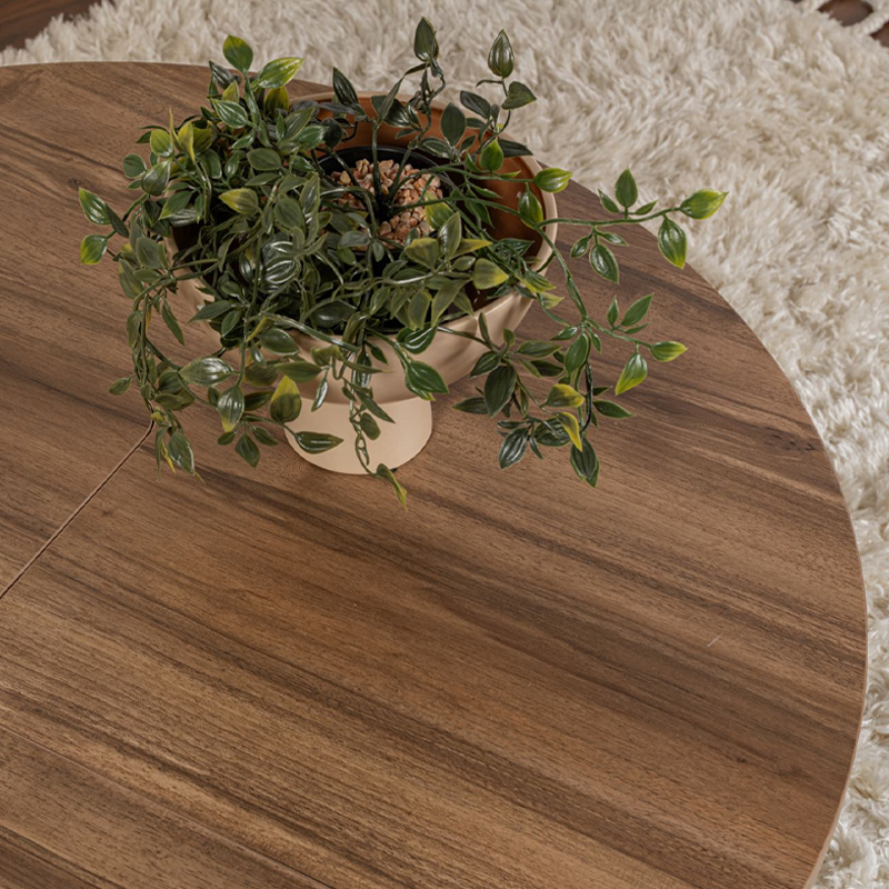 Τραπεζάκι σαλονιού σετ 2 τμχ Moira Megapap χρώμα καρυδί Ø90x41εκ. - Image 6