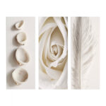 ΠΙΝΑΚΑΣ ΤΡΙΠΤΥΧΟ MDF NATURAL ELEMENTS HM7204.05 60X0,3X50 εκ.