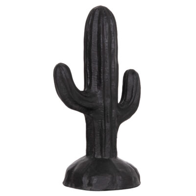 ΔΙΑΚΟΣΜΗΤΙΚΟΣ ΚΑΚΤΟΣ ΔΑΠΕΔΟΥ CACTUS HM4386.01S ΓΥΨΟΣ ΣΕ ΜΑΥΡΟ 42x30x74Υεκ.